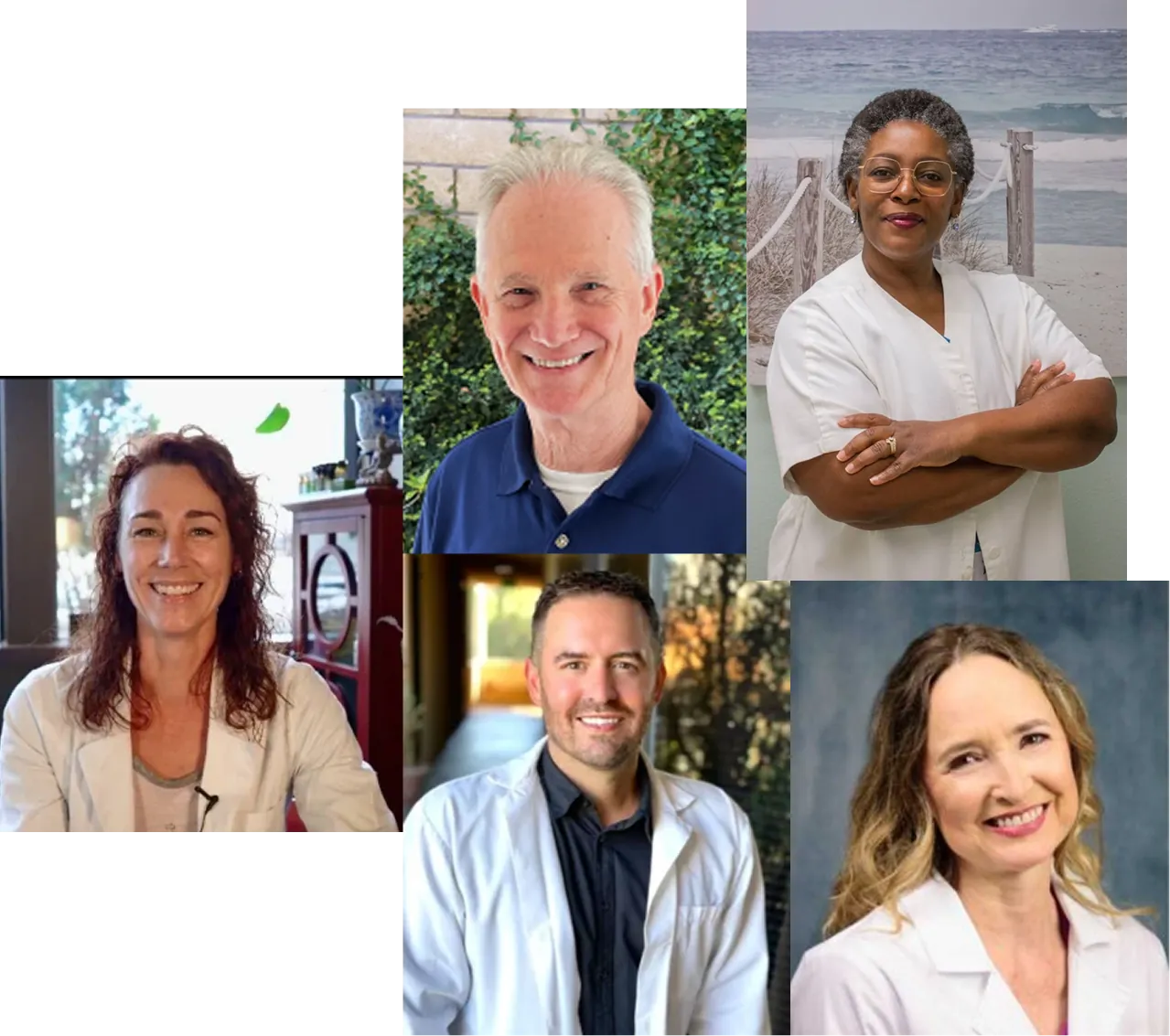 ANF Acupuncturist Network Members